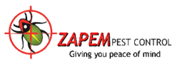 Zapem Logo