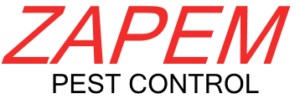 Zapem Logo